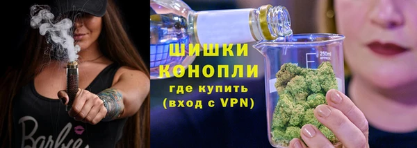 спайс Новодвинск