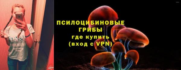 метадон Новозыбков
