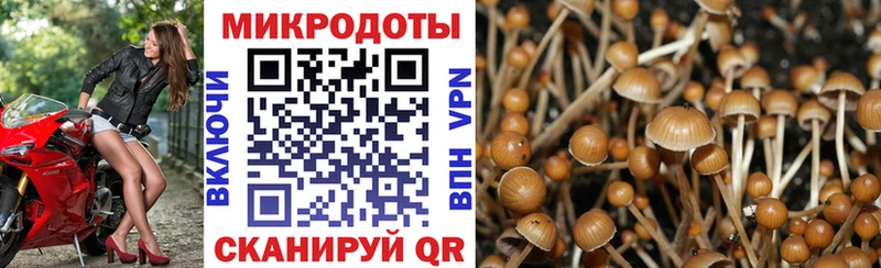 Галлюциногенные грибы GOLDEN TEACHER  Купить  Щёкино 
